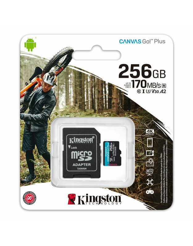 Atminties kortelė telefonui Kingston CANVAS Go Plus 256GB SDCG3/256GB