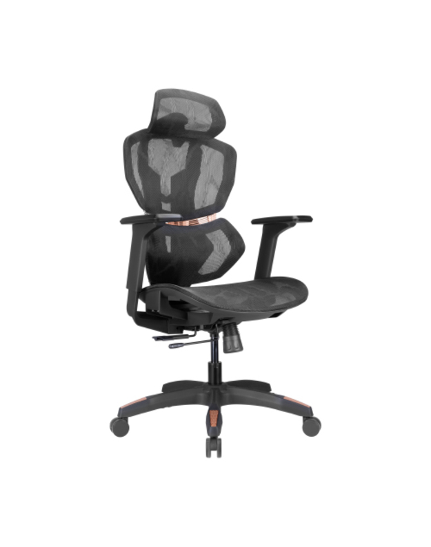 PREMIUM kėdė su galvos ir juosmens atramomis bei reguliuojamais porankiais