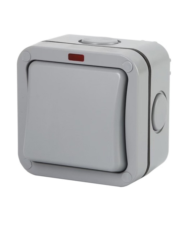 Virštinkinis jungiklis 1 kanalo, IP66, EU